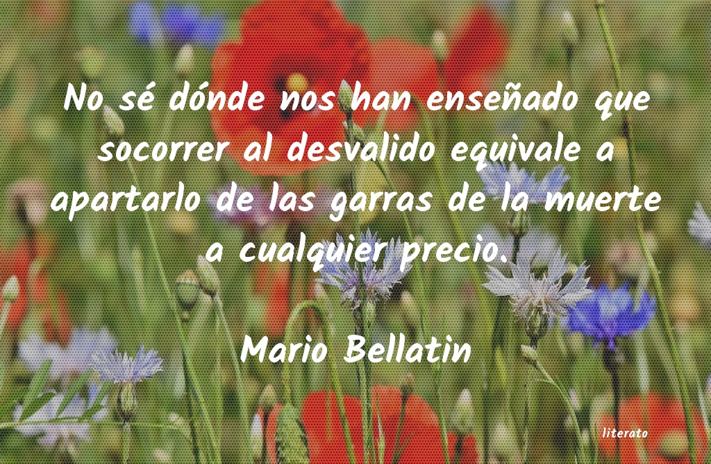 frases de Mario Bellatin