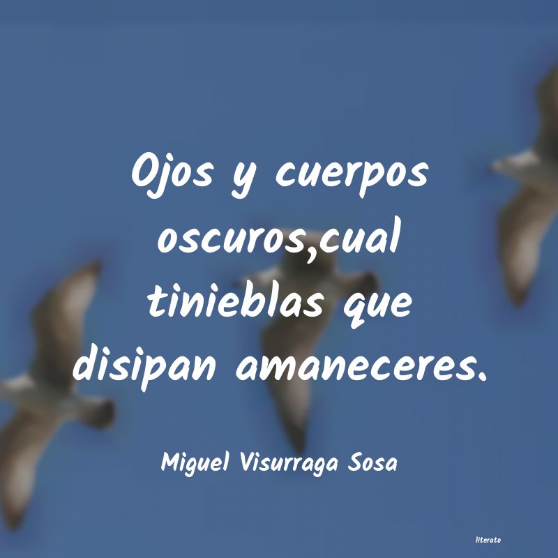 frases de Miguel Visurraga Sosa