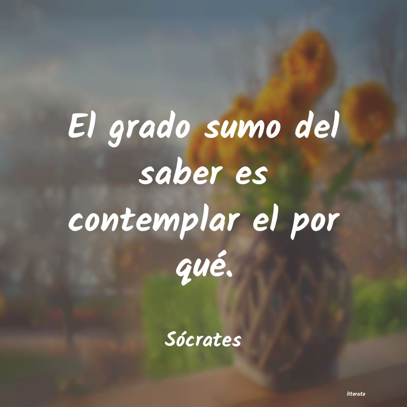 Frases de Sócrates