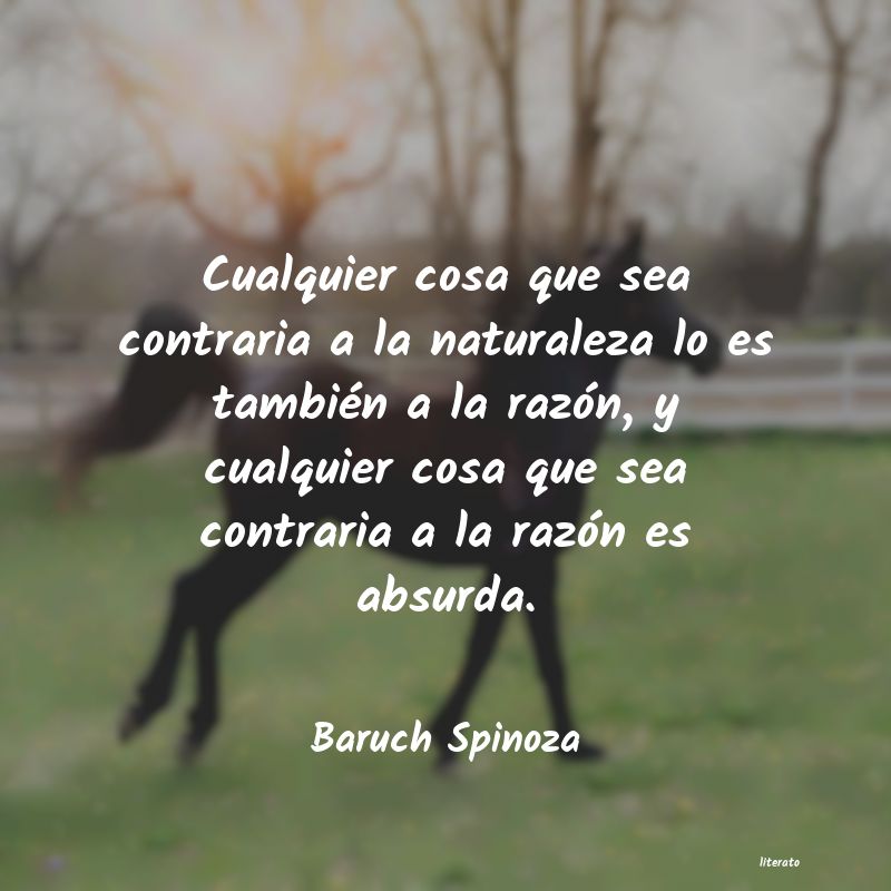 frases de Baruch Spinoza