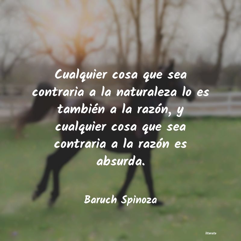 Frases de Baruch Spinoza