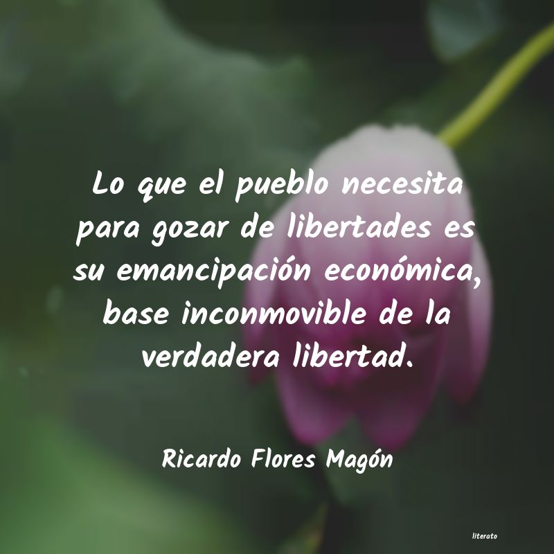 Frases de Ricardo Flores Magón