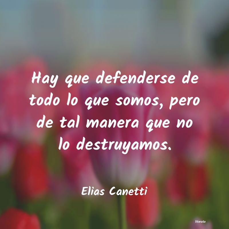 elias canetti conocimiento conocer mejor