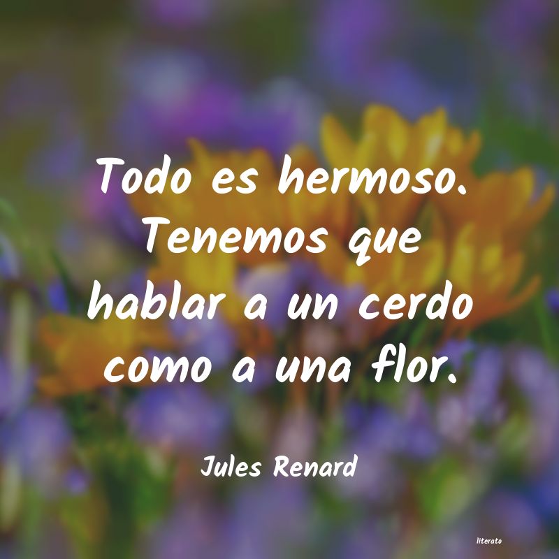 frases de Jules Renard