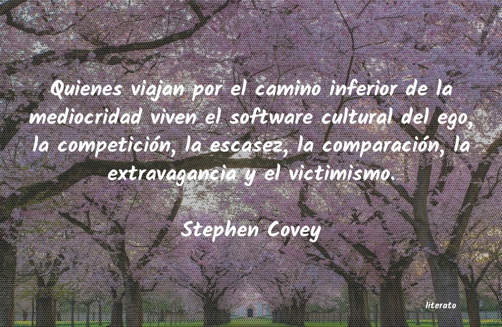 Frases de Stephen Covey