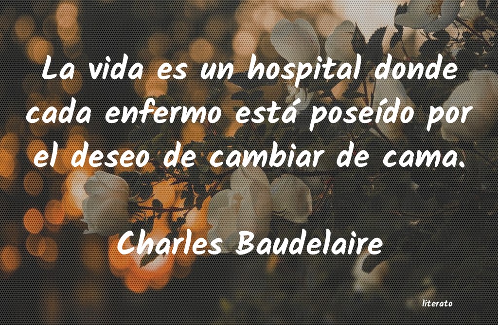 Frases de Charles Baudelaire