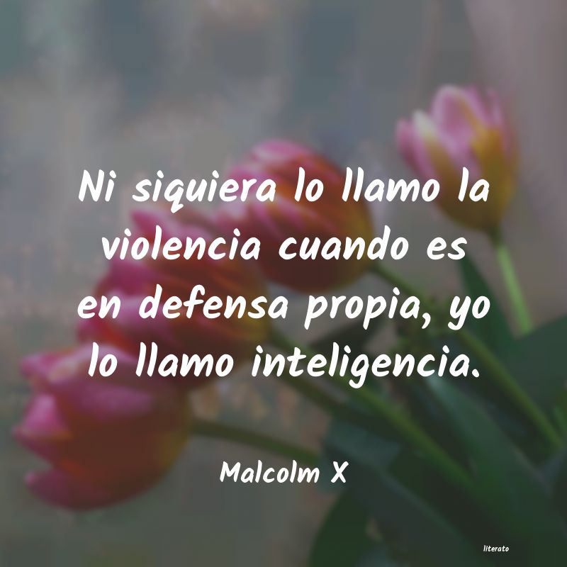 Frases de Malcolm X