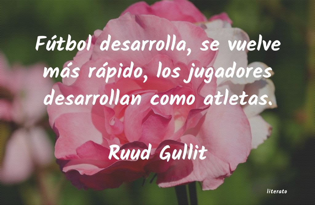 Frases de Ruud Gullit