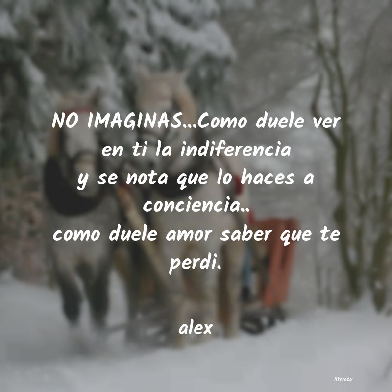 frases de alex