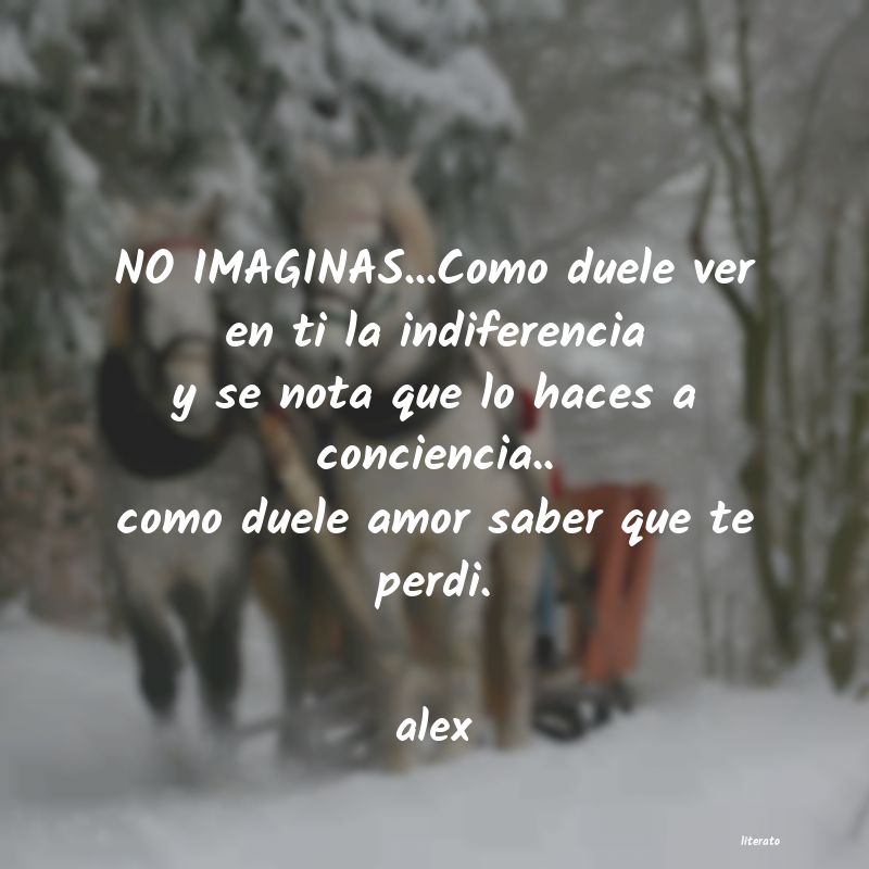 Frases de alex