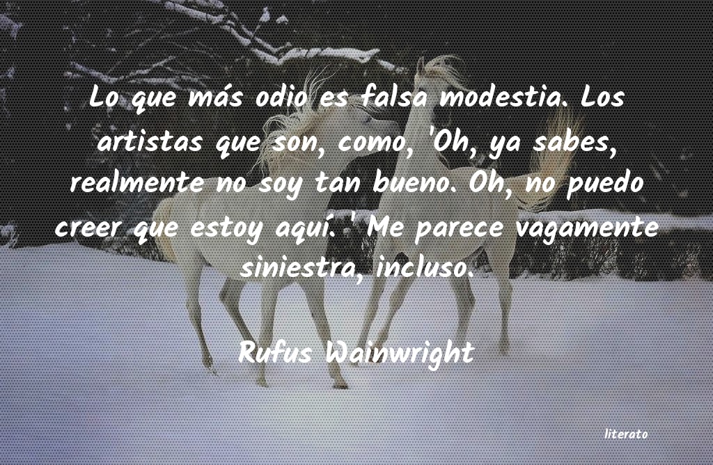 Frases de Rufus Wainwright