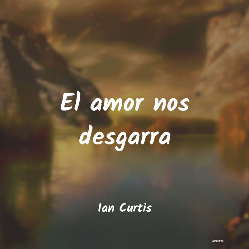 Frases de Ian Curtis