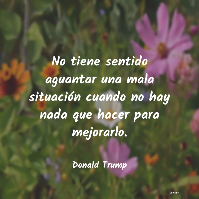 Frases de Donald Trump