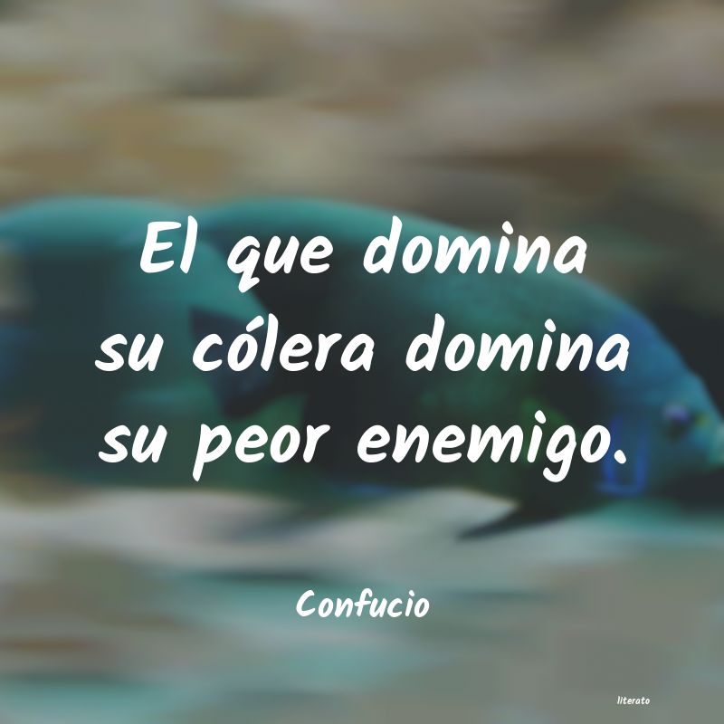 frases de Confucio