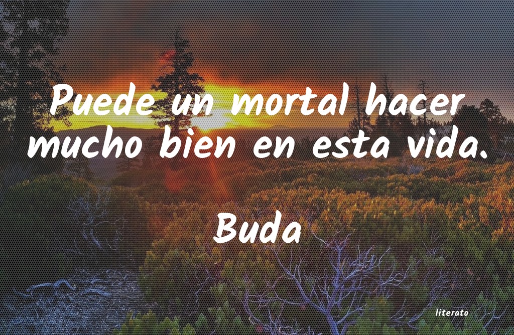 Frases de Buda