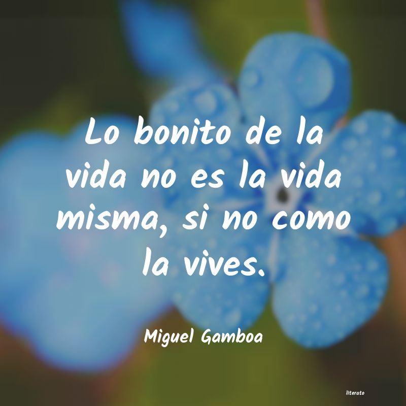 Frases de Miguel Gamboa