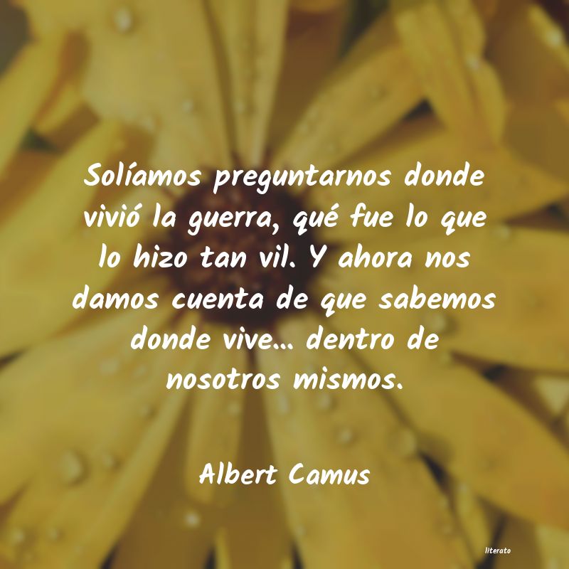 Frases de Albert Camus