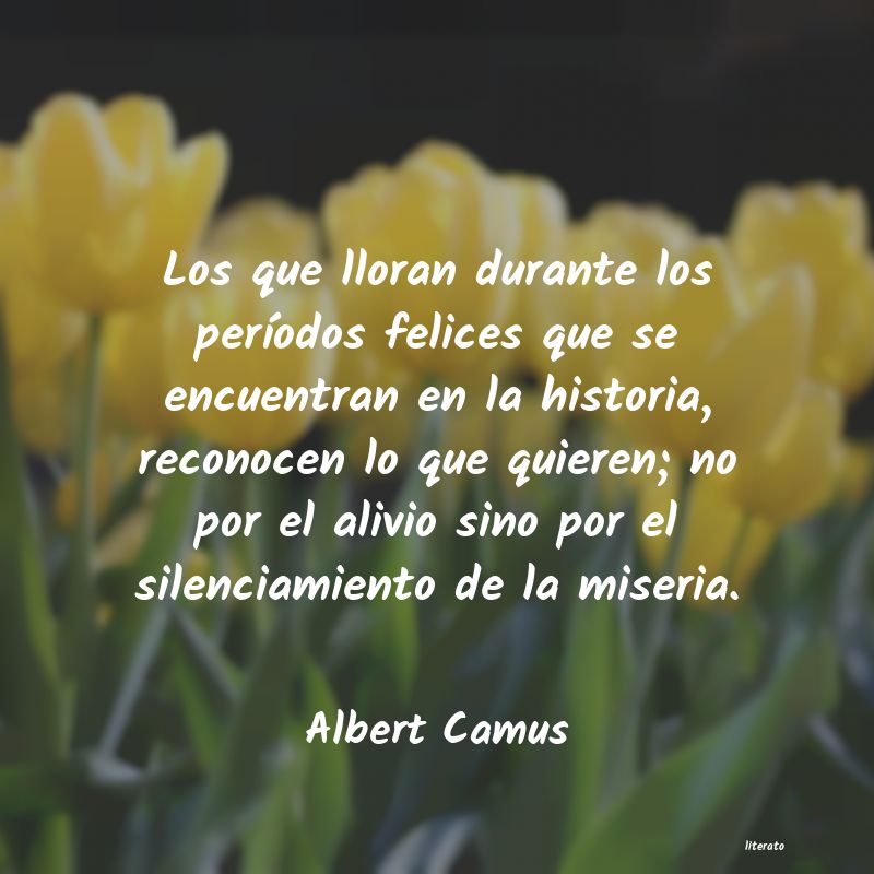 Frases de Albert Camus