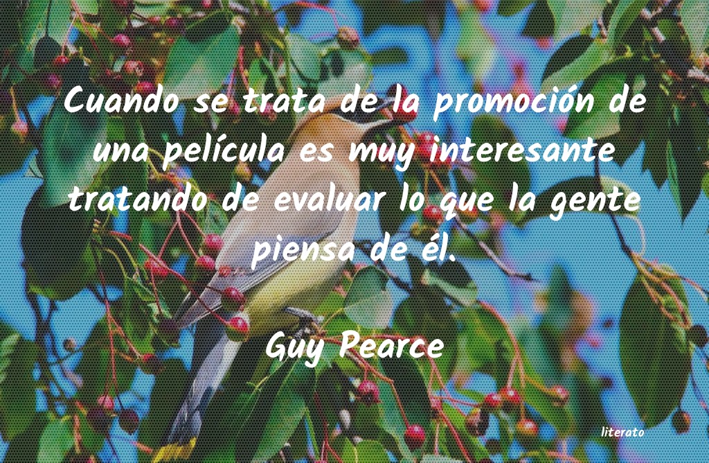 Frases de Guy Pearce