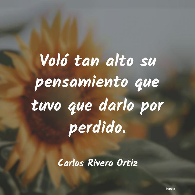 Frases de Carlos Rivera Ortiz