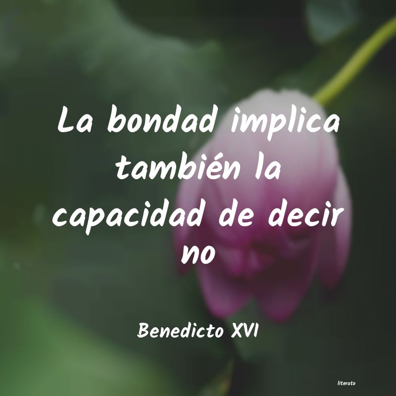 Frases de Benedicto XVI