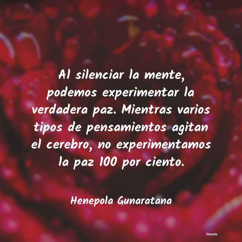 Frases de Henepola Gunaratana