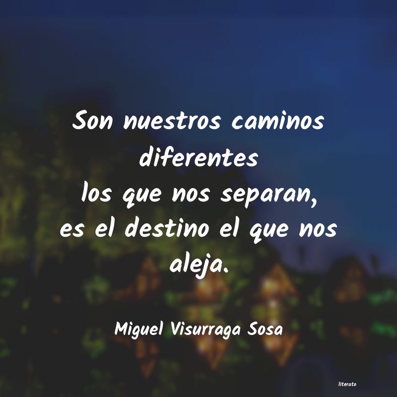 Frases de Miguel Visurraga Sosa