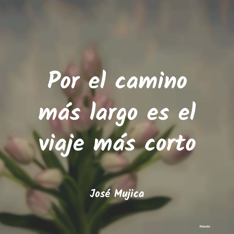 frases de José Mujica