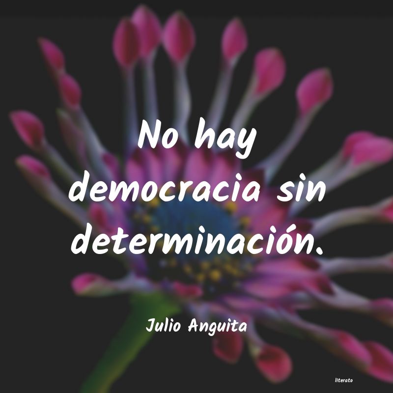 frases de Julio Anguita