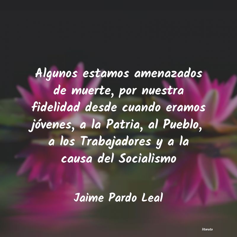 frases de Jaime Pardo Leal