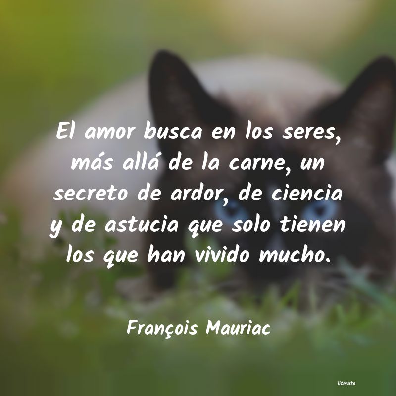 frases de François Mauriac