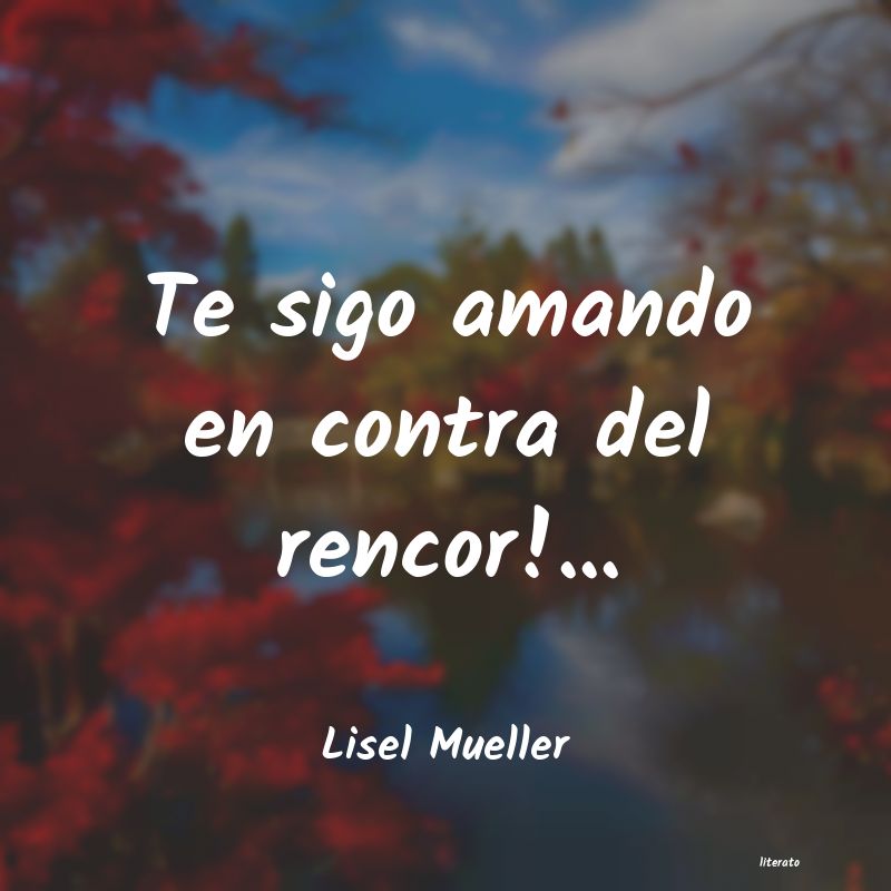 Frases de Lisel Mueller