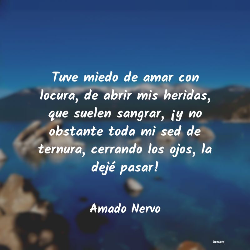 Frases de Amado Nervo