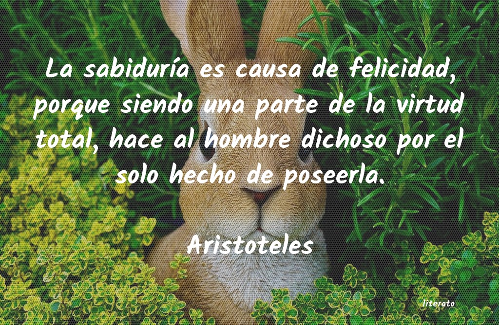 Frases de Aristoteles