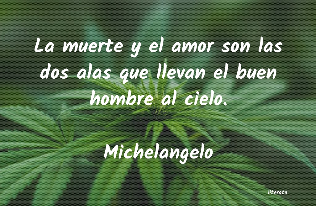 Frases de Michelangelo