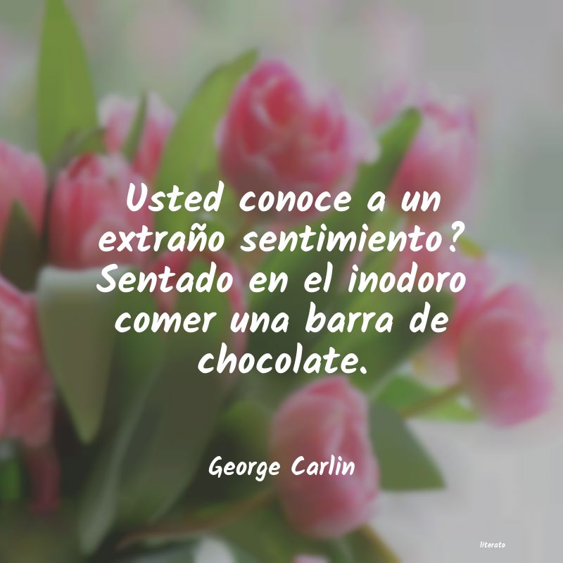 Frases de George Carlin