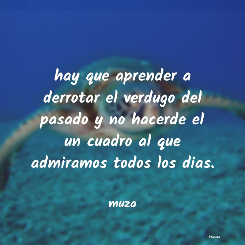frases de muza