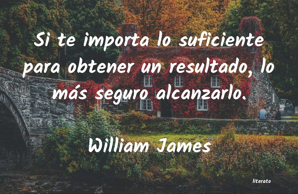 Frases de William James