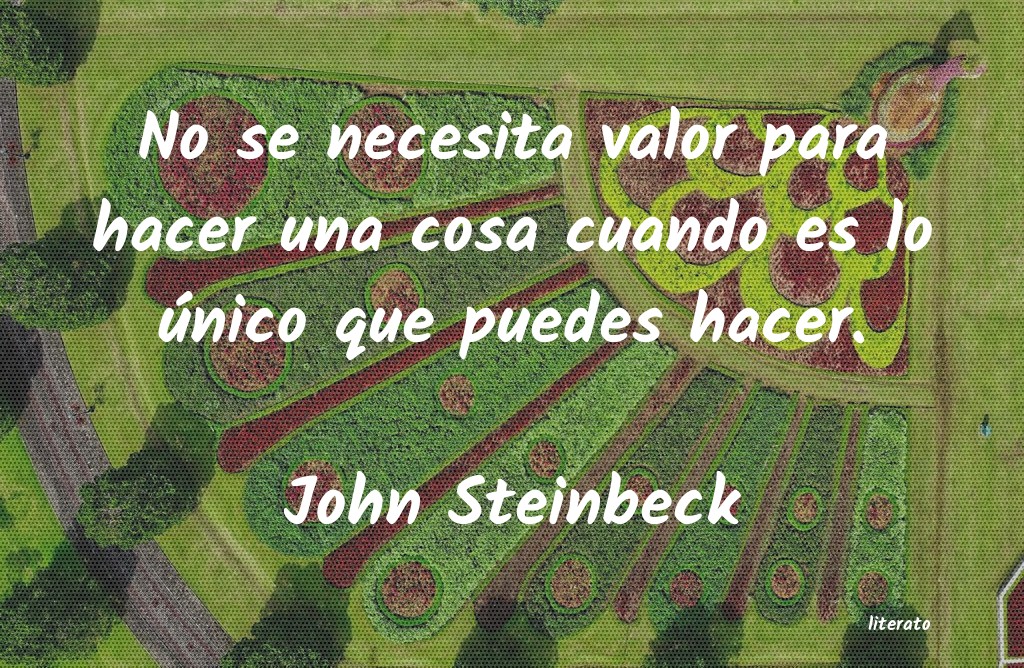 frases de John Steinbeck