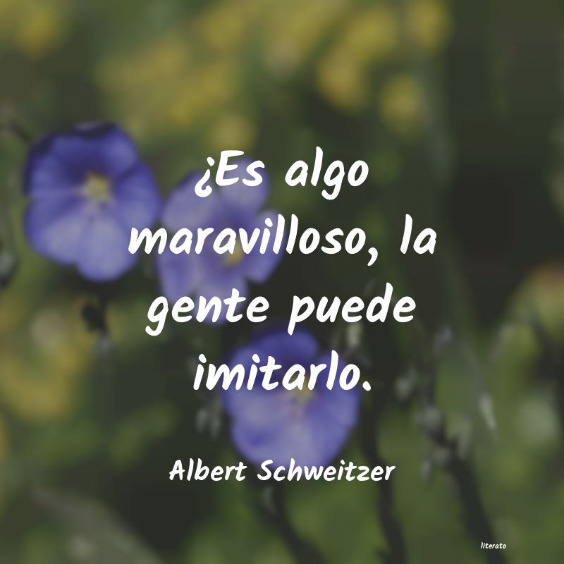 Frases de Albert Schweitzer