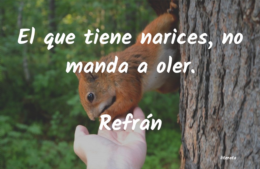 Frases de Refrán