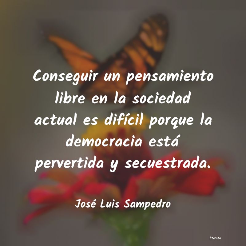 frases de José Luis Sampedro