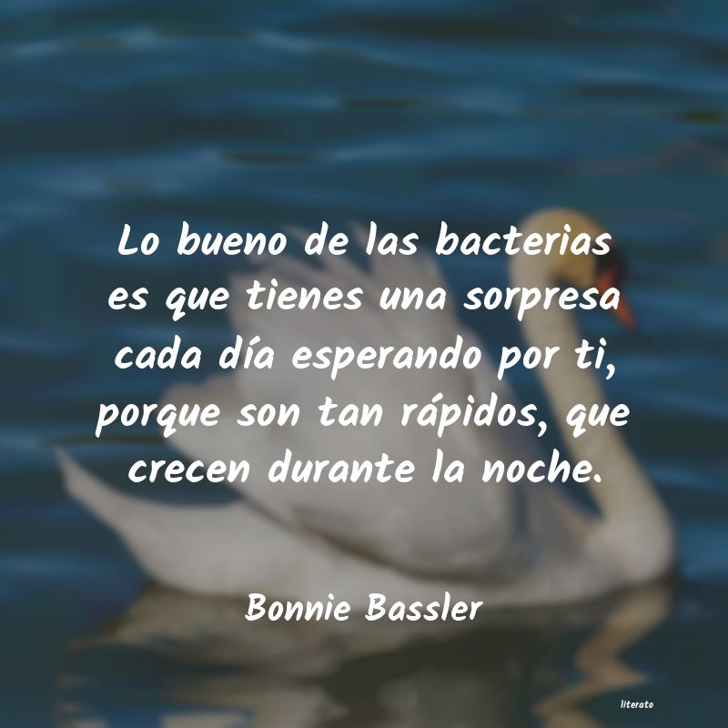 Frases de Bonnie Bassler