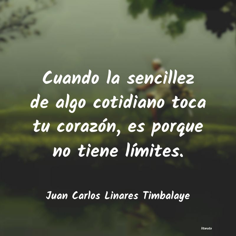 Frases de Juan Carlos Linares Timbalaye