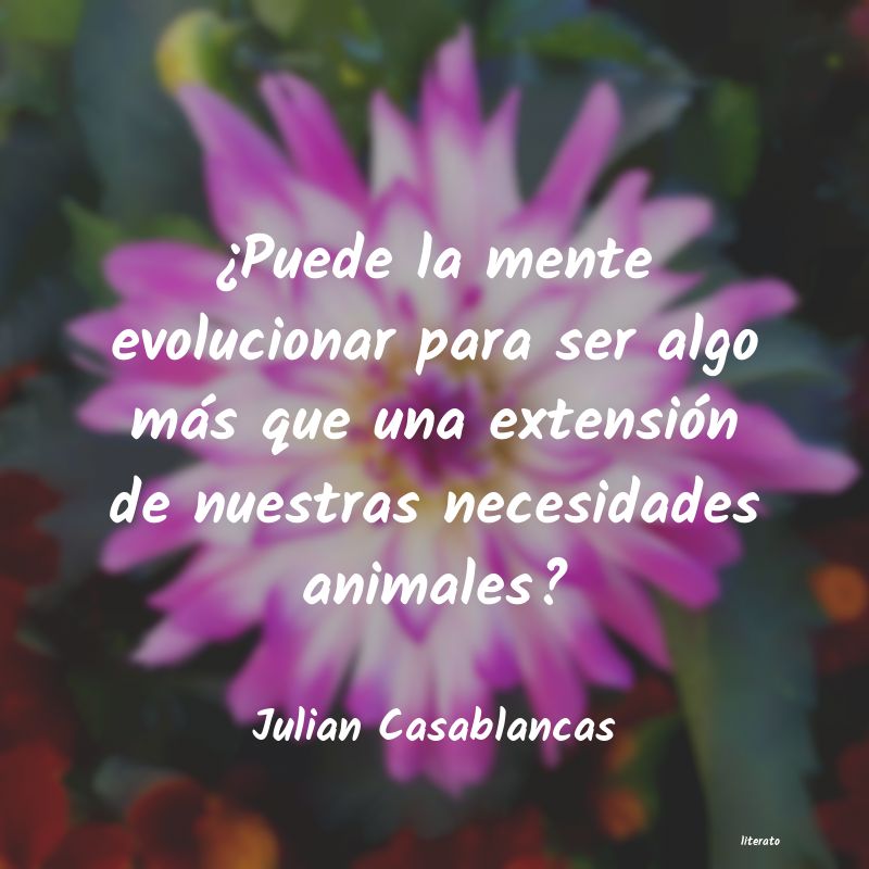 frases de Julian Casablancas