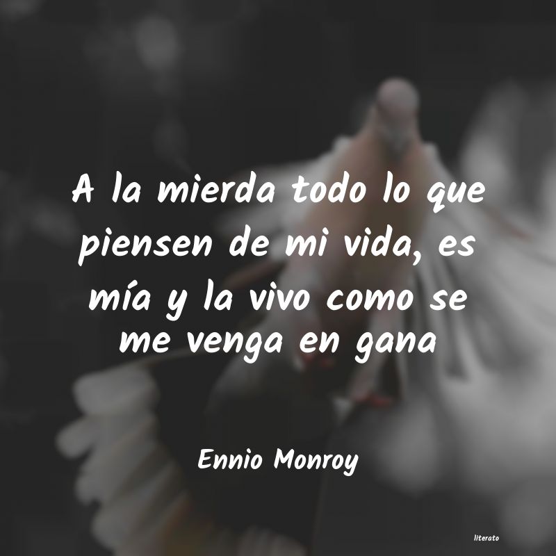 frases de Ennio Monroy
