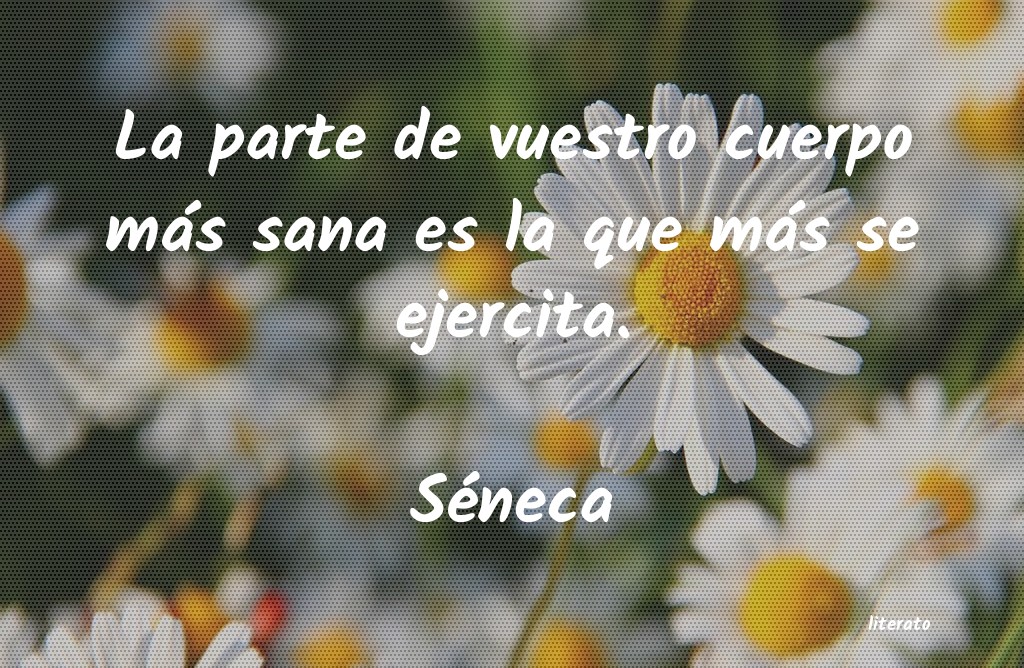 frases de Séneca