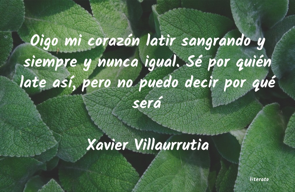 frases de Xavier Villaurrutia
