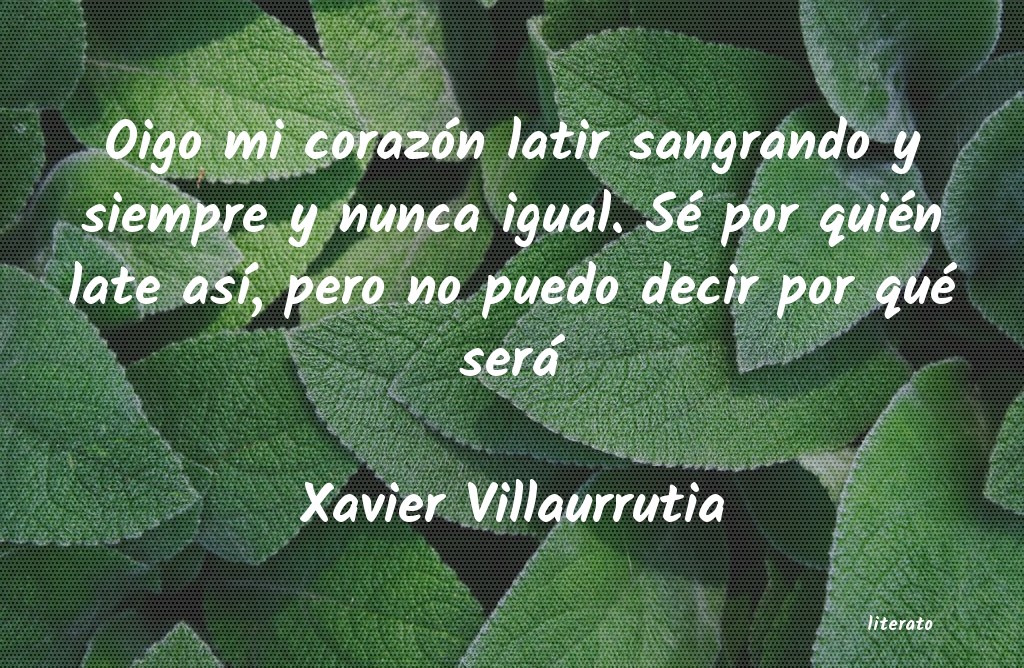 Frases de Xavier Villaurrutia