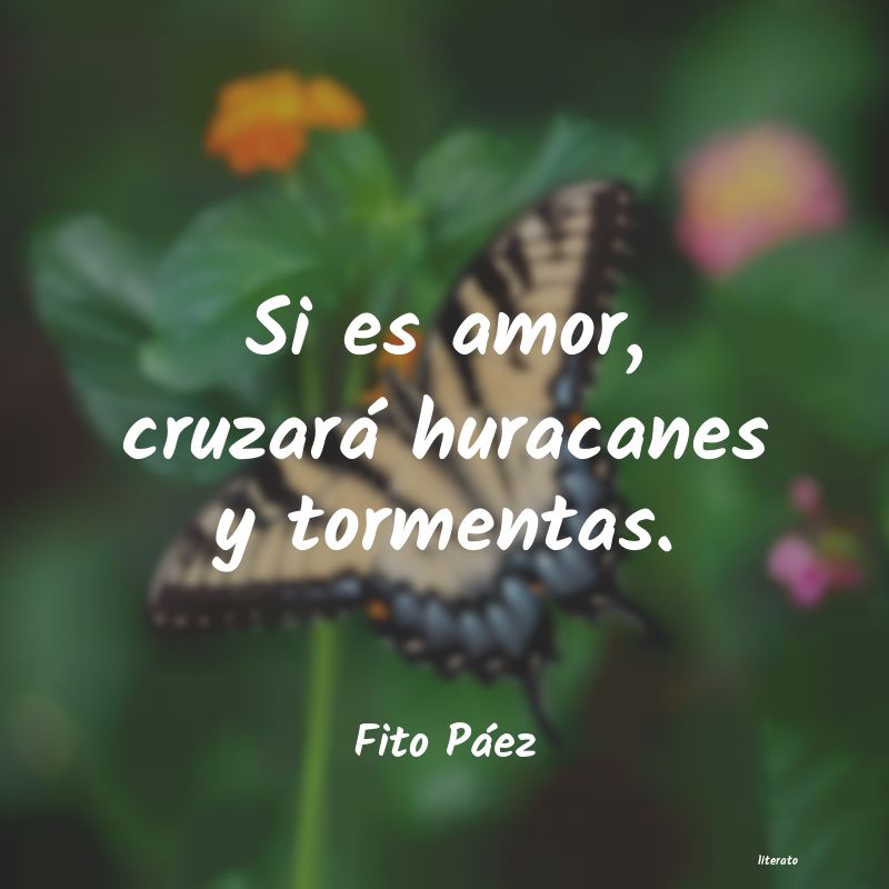 Frases de Fito Páez